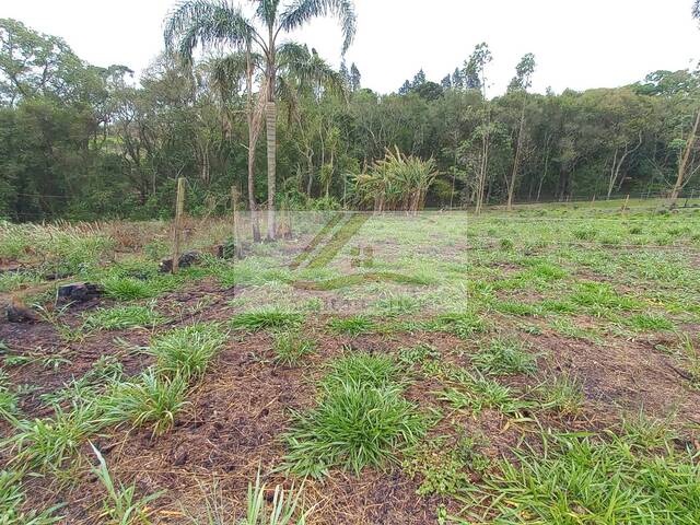 Terreno para Venda em Ibiúna - 4