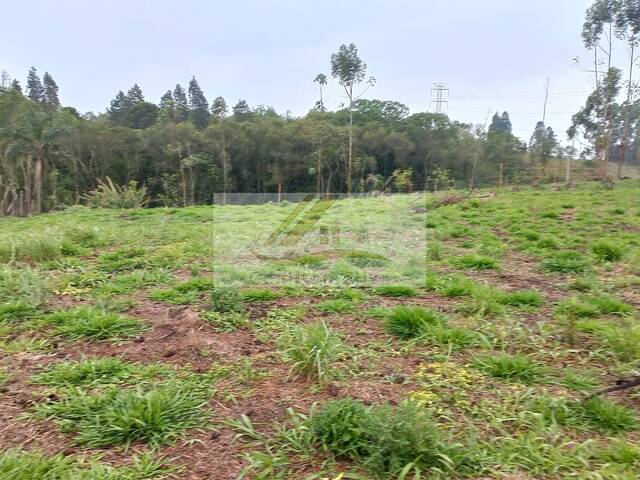 Terreno para Venda em Ibiúna - 5