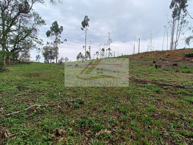 #993 - Terreno para Venda em Ibiúna - SP - 1
