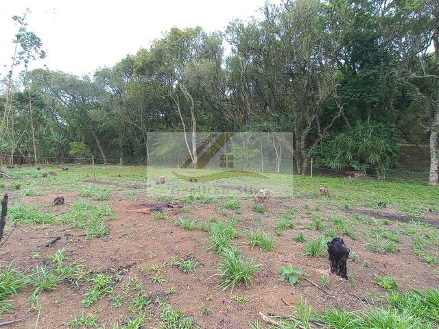 #993 - Terreno para Venda em Ibiúna - SP - 2