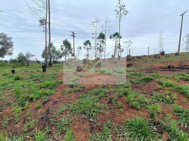 #993 - Terreno para Venda em Ibiúna - SP - 3