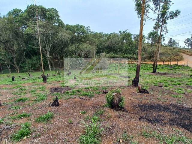 Terreno para Venda em Ibiúna - 4