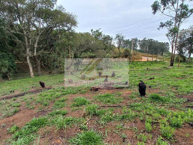 Terreno para Venda em Ibiúna - 5