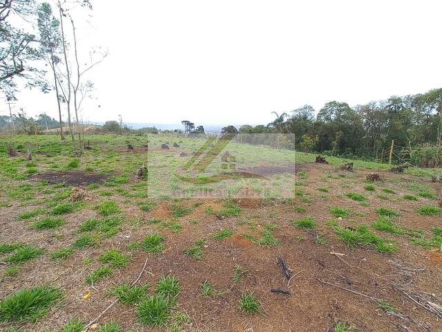 Terreno para Venda em Ibiúna - 4