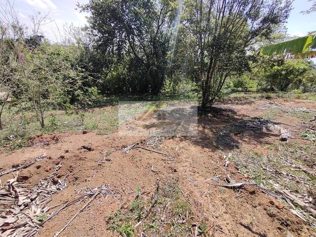 Terreno para Venda em Ibiúna - 4
