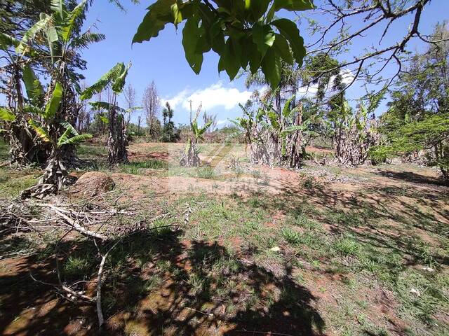 Terreno para Venda em Ibiúna - 5
