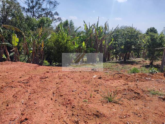 #996 - Terreno para Venda em Ibiúna - SP - 3