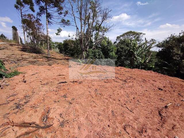 #997 - Terreno para Venda em Ibiúna - SP - 1