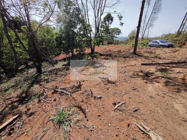 #997 - Terreno para Venda em Ibiúna - SP - 3