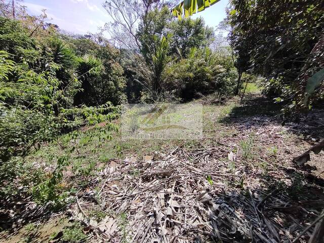 Terreno para Venda em Ibiúna - 4