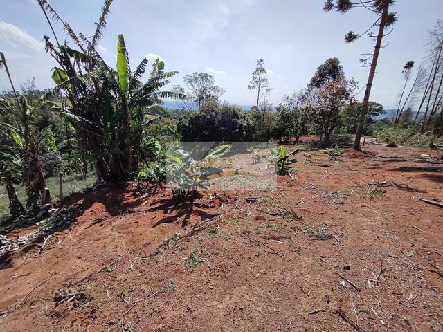 Terreno para Venda em Ibiúna - 4