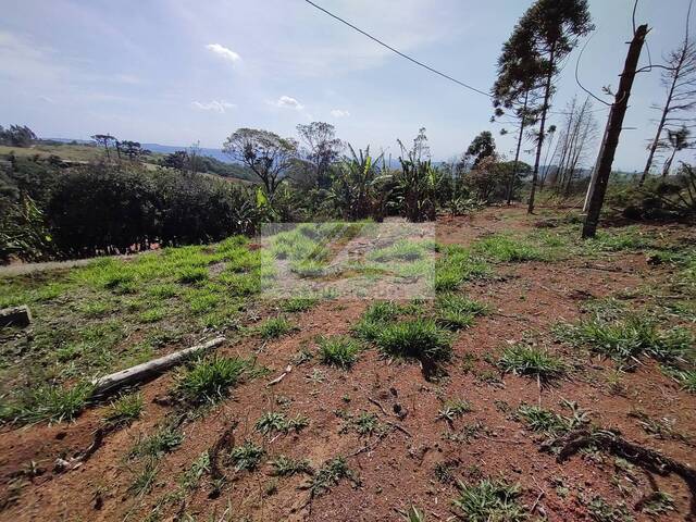 Terreno para Venda em Ibiúna - 5