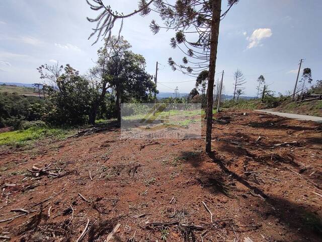 #1000 - Terreno para Venda em Ibiúna - SP - 2