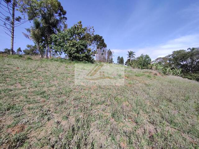 Terreno para Venda em Ibiúna - 4