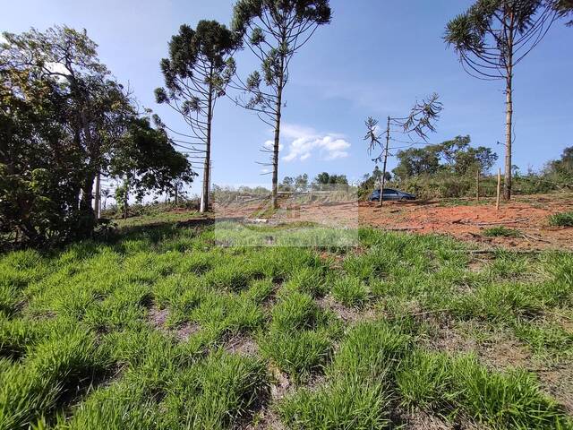 Terreno para Venda em Ibiúna - 5