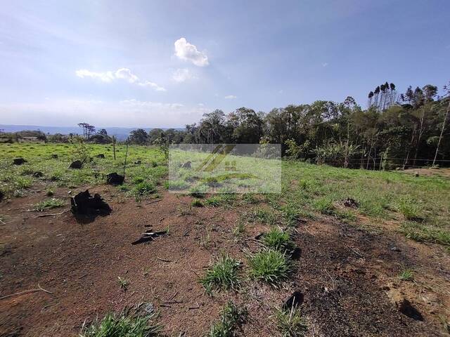 #1001 - Terreno para Venda em Ibiúna - SP - 2
