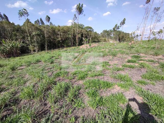 Terreno para Venda em Ibiúna - 4