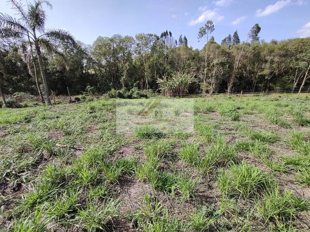 Terreno para Venda em Ibiúna - 5
