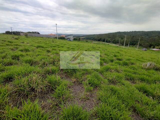 #1003 - Terreno para Venda em Ibiúna - SP - 3