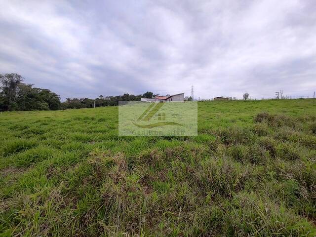 Terreno para Venda em Ibiúna - 5