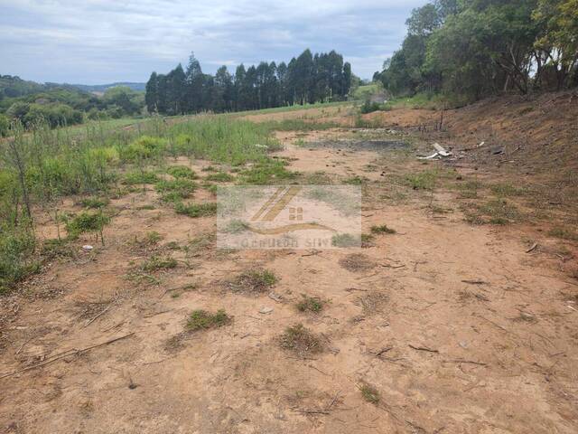 #1004 - Terreno para Venda em Ibiúna - SP - 3