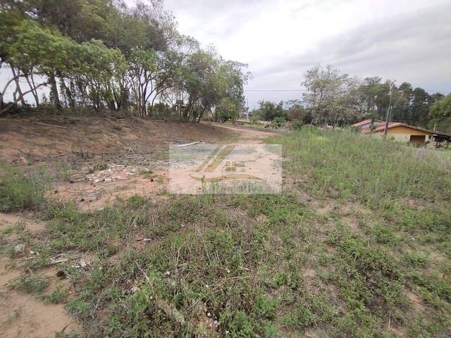 Terreno para Venda em Ibiúna - 4