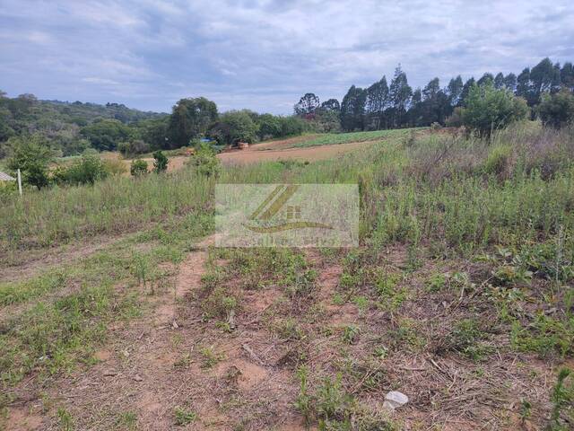#1005 - Terreno para Venda em Ibiúna - SP - 2
