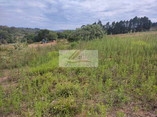 Terreno para Venda em Ibiúna - 4