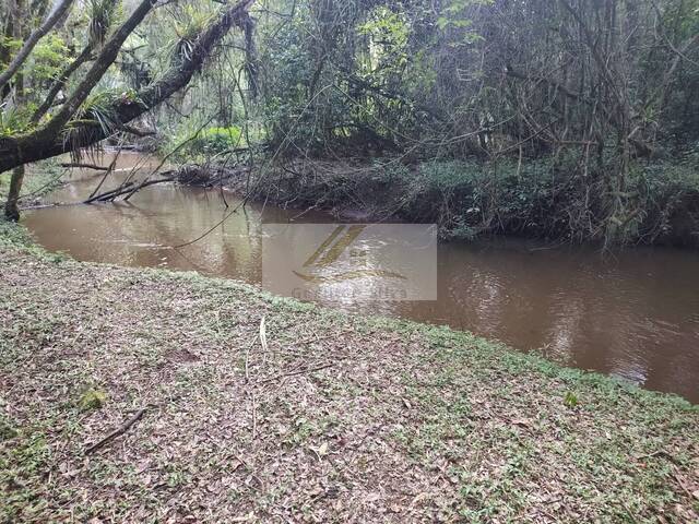 #1013 - Sítio para Venda em Ibiúna - SP - 3
