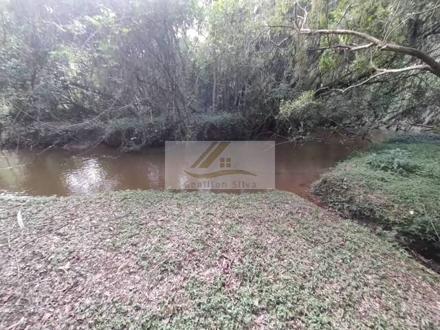 Sítio para Venda em Ibiúna - 4
