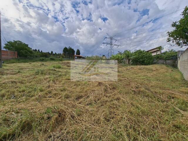 #1066 - Terreno para Venda em Ibiúna - SP - 3