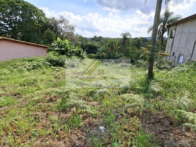 #1105 - Área para Venda em Ibiúna - SP - 2