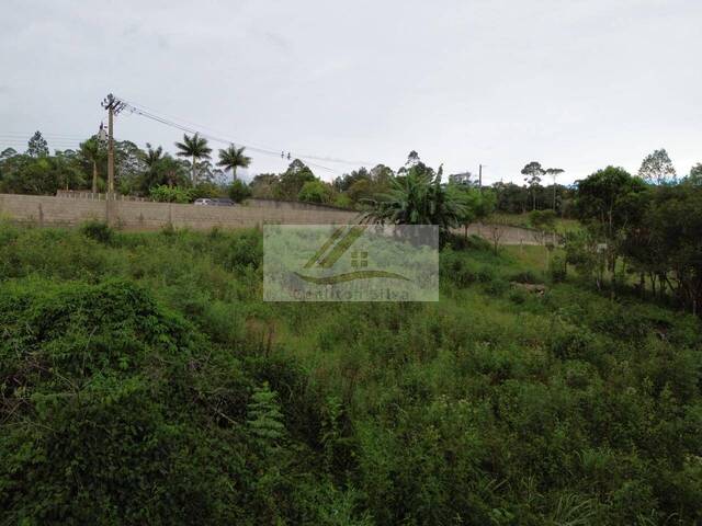 Terreno para Venda em Ibiúna - 3